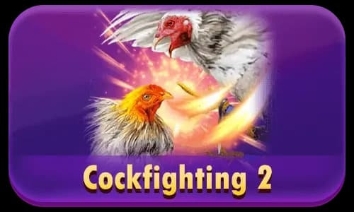 Cockfighting 2